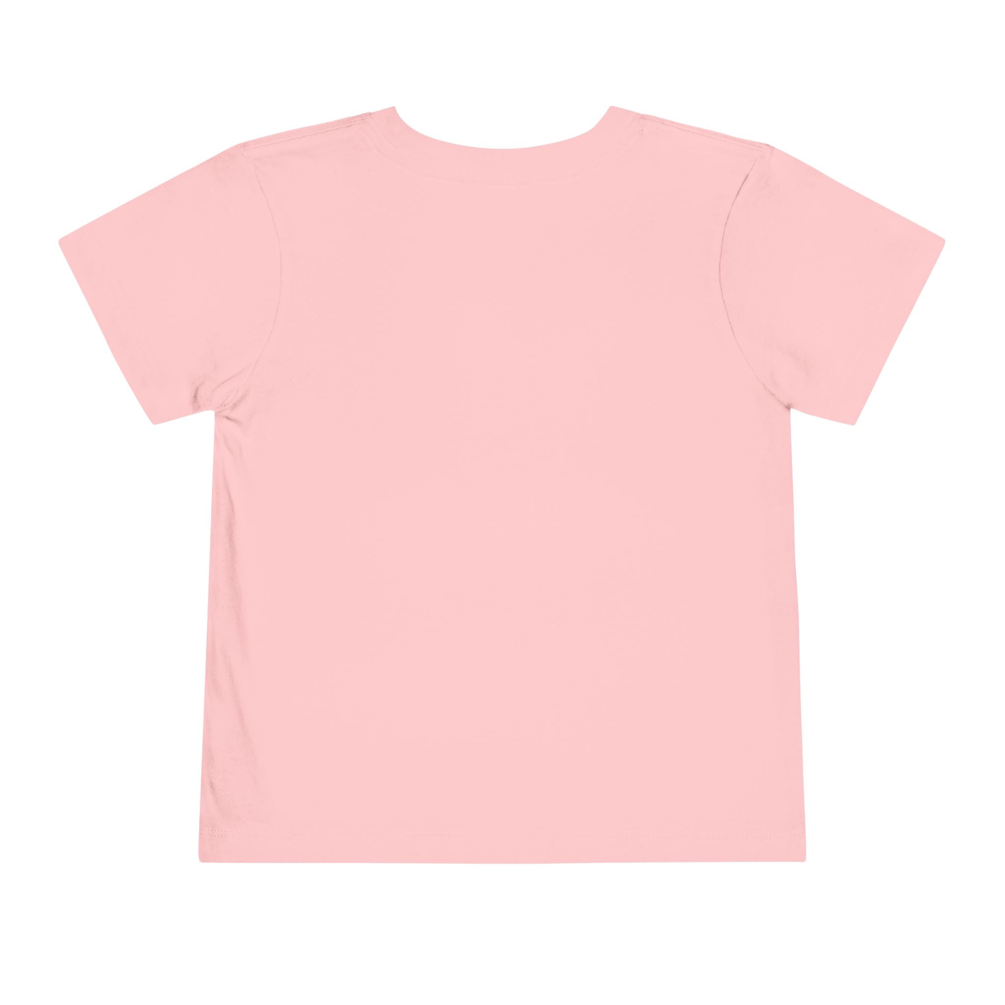 Toddler Tee — Cute Rainbow Baby Birds Graphic Shirt